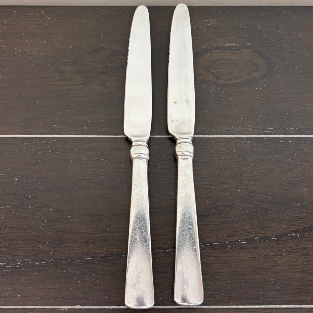 Cambridge |‎ Stainless Korea Dinner Knives | Set of 2 Dinner Knives